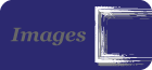 Image Nest